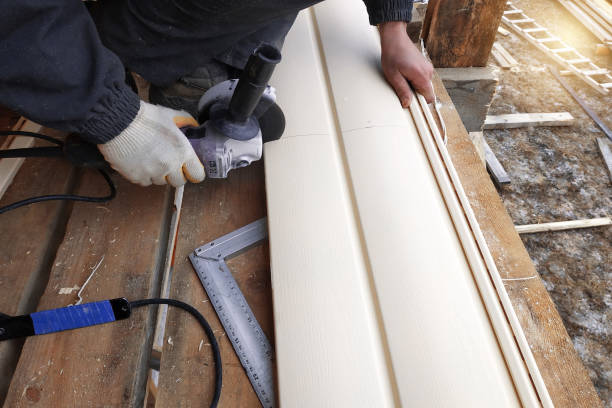 Best Steel Siding Installation  in Buckner, KY
