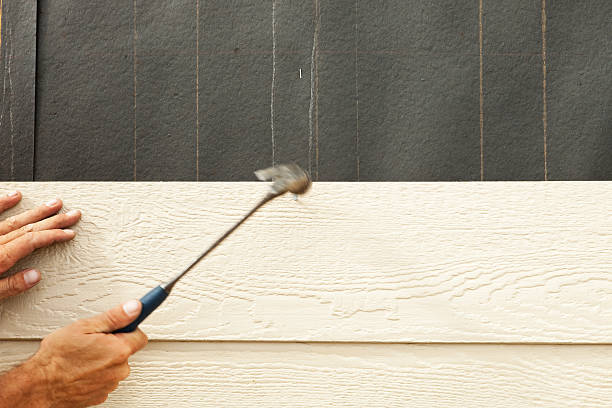 Best Siding Removal and Disposal  in Buckner, KY